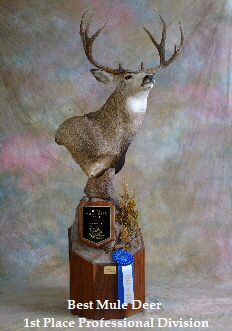trophy deer