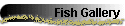 Fish Gallery