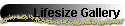 Lifesize Gallery