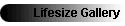 Lifesize Gallery