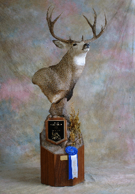 Nick's deer