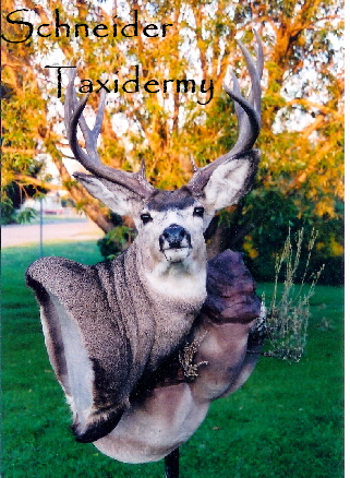 Scan0001